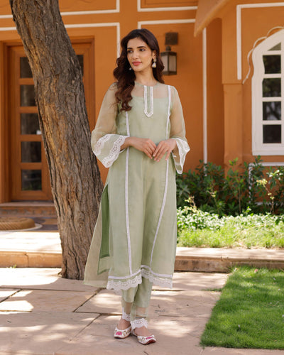 Lucy Organza Straight Kurta Set