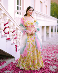 Organza Lehenga
