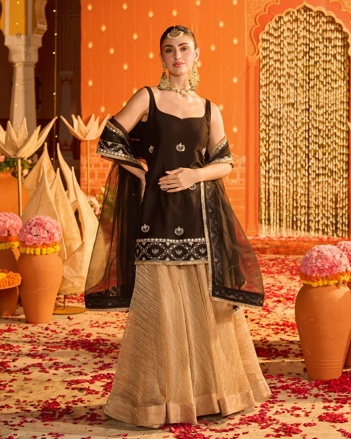 Diyara Black Embroidered Chanderi Garara Set