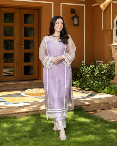 Grace Organza Straight Kurta Set