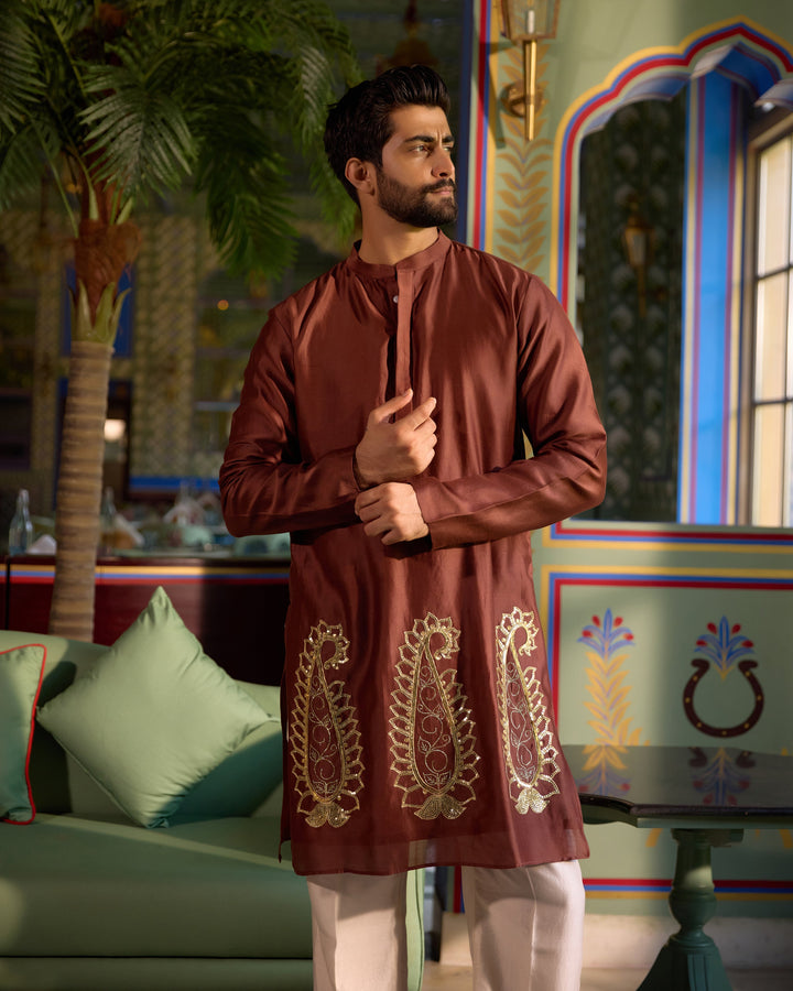 Shridhar Brown Chanderi Embroidered Kurta