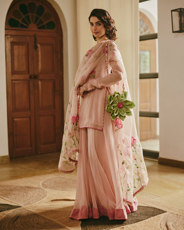 Sarthak Beige Handpainted Viscose Organza Suit Set