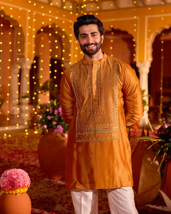 Bajrang Mustard Chanderi Embroidered Kurta