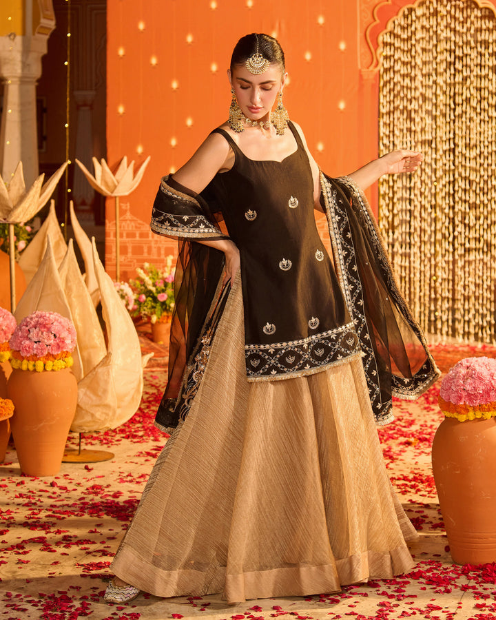 Diyara Black Embroidered Chanderi Garara Set