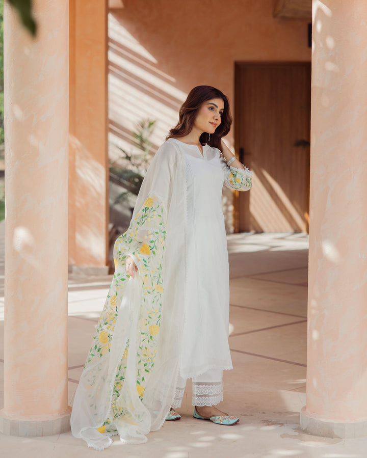Swirl Off White Handpainted Chanderi Suit Set