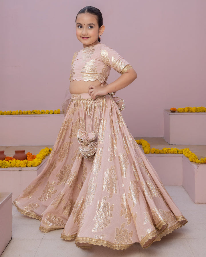 Aaru Pink Solid Jacquard Lehenga Set