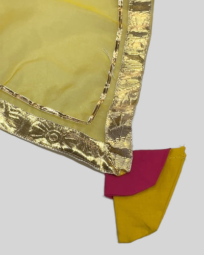 Yellow Organza Handpainted Suit Set