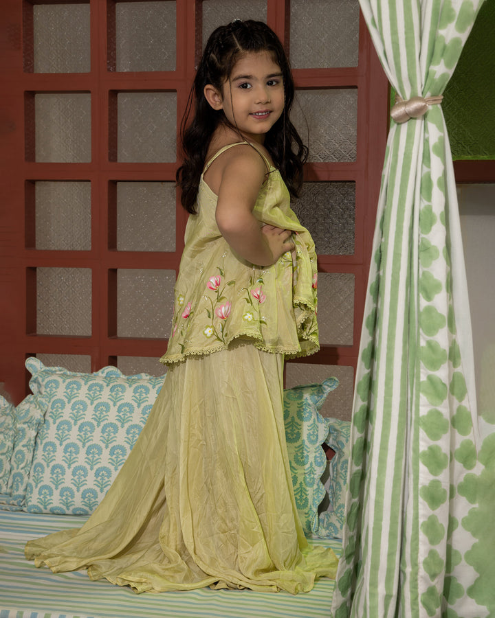 Kakul Sage Green Handpainted Silk Coord Set