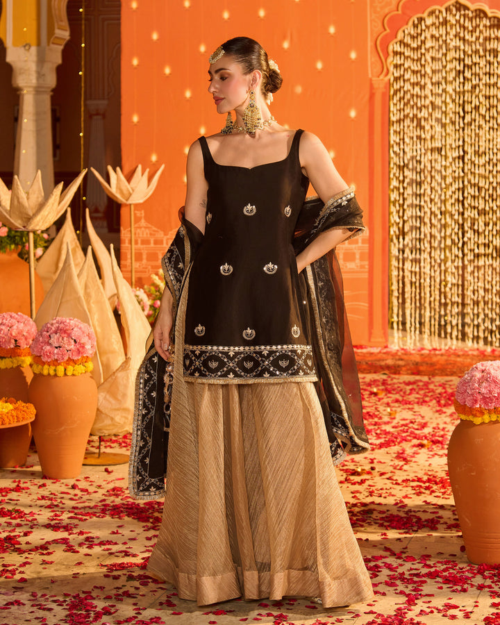 Diyara Black Embroidered Chanderi Garara Set