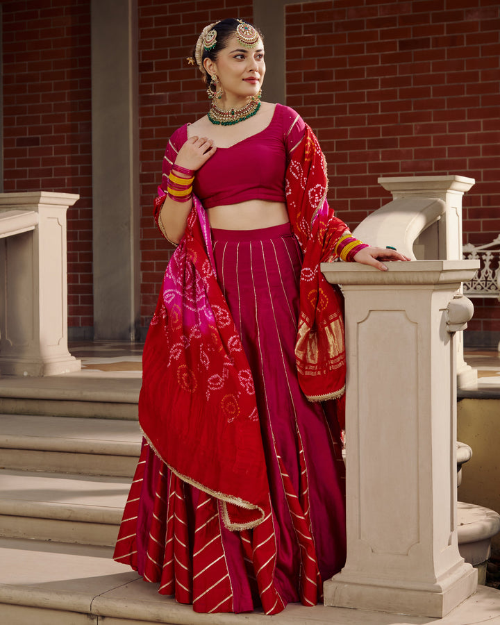 Hema Pink Embroidered Chanderi Lehenga Set