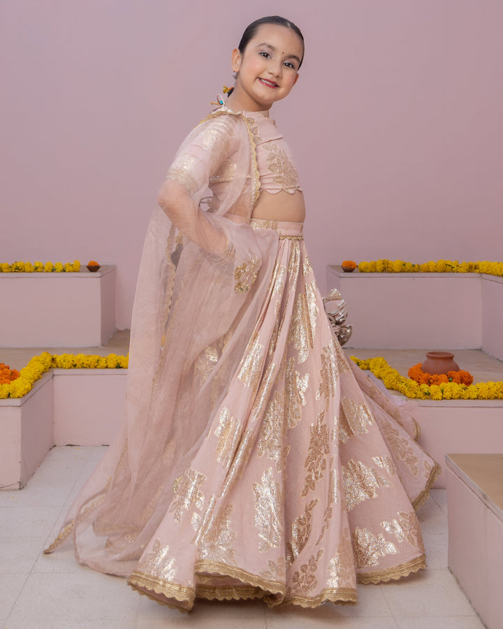 Aaru Pink Solid Jacquard Lehenga Set