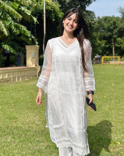 Sophia Organza Straight Kurta Set