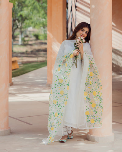 Swirl Off White Handpainted Chanderi Suit Set