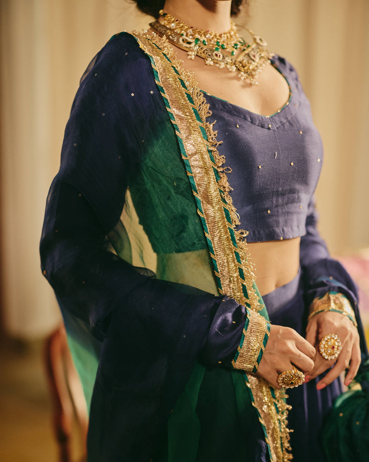 Varnesha Blue Handpainted Chanderi Lehenga Set
