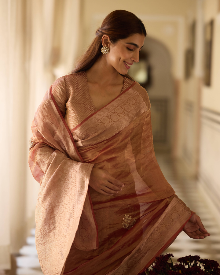 Damini Rust Orange Handcrafted Tissue Saree