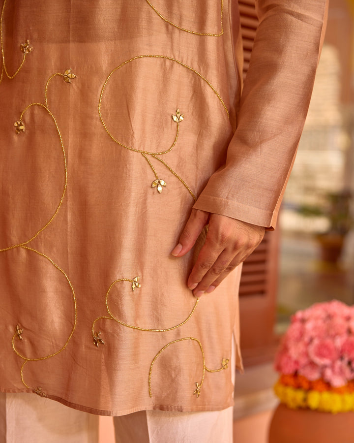 Damodar Brown Chanderi Embroidered Kurta