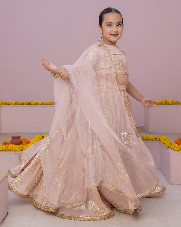 Aaru Pink Solid Jacquard Lehenga Set