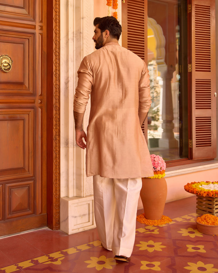 Damodar Brown Chanderi Embroidered Kurta