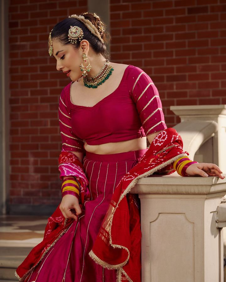 Hema Pink Embroidered Chanderi Lehenga Set