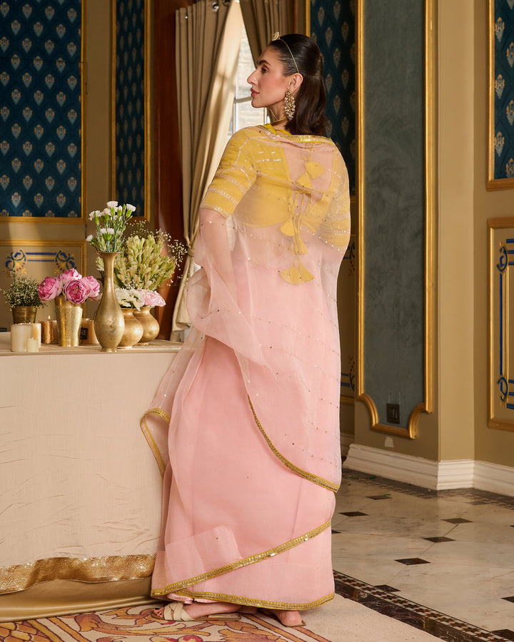 Eira Neon Embroidered Satin Aangi Blouse And Saree