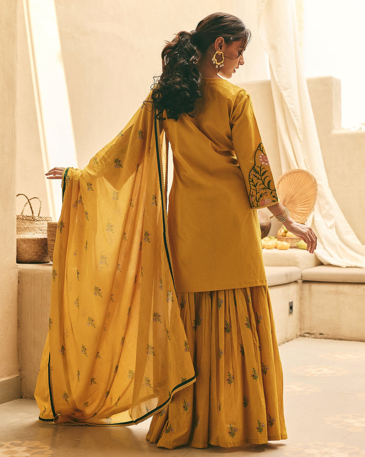 Sima Mustard Cotton Printed Sharara Set