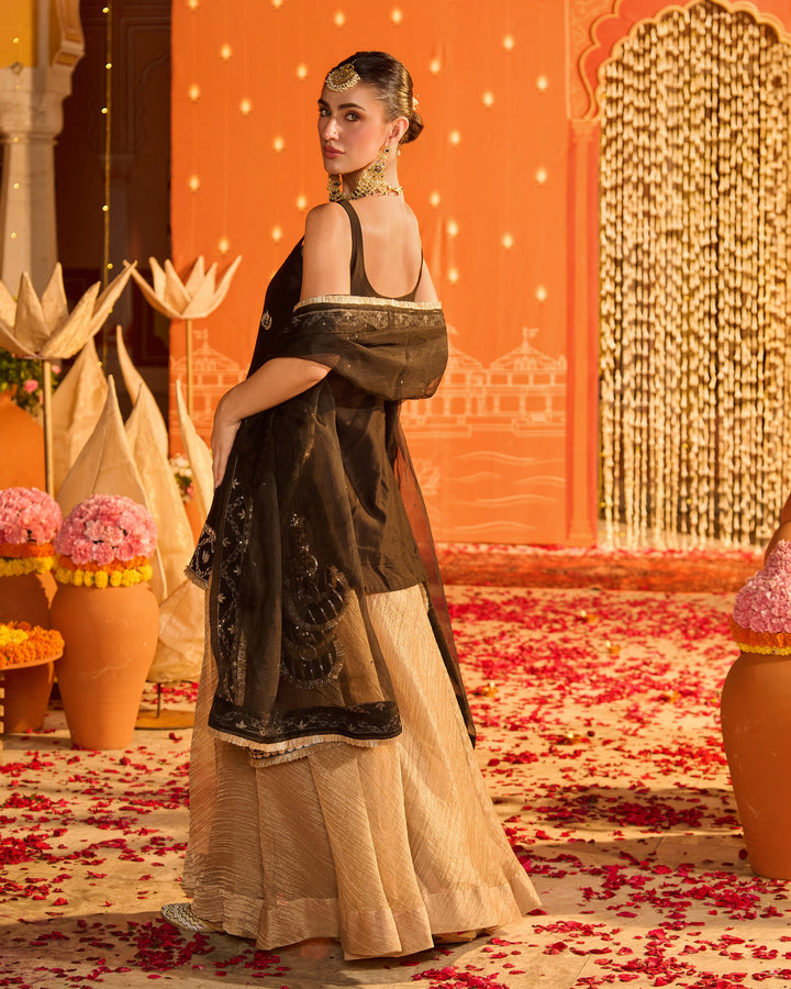 Diyara Black Embroidered Chanderi Garara Set