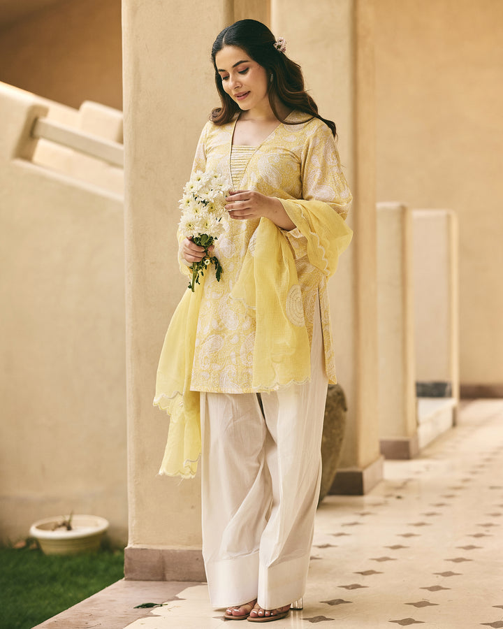 Samayra Butter Yellow Cotton Printed Farsi Salwar Set