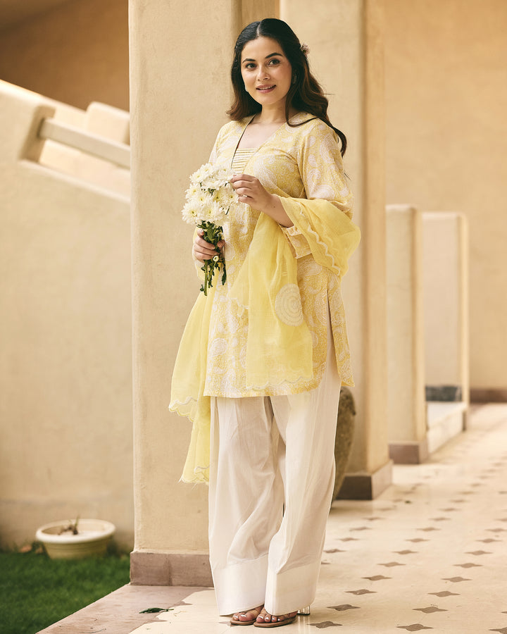 Samayra Butter Yellow Cotton Printed Farsi Salwar Set